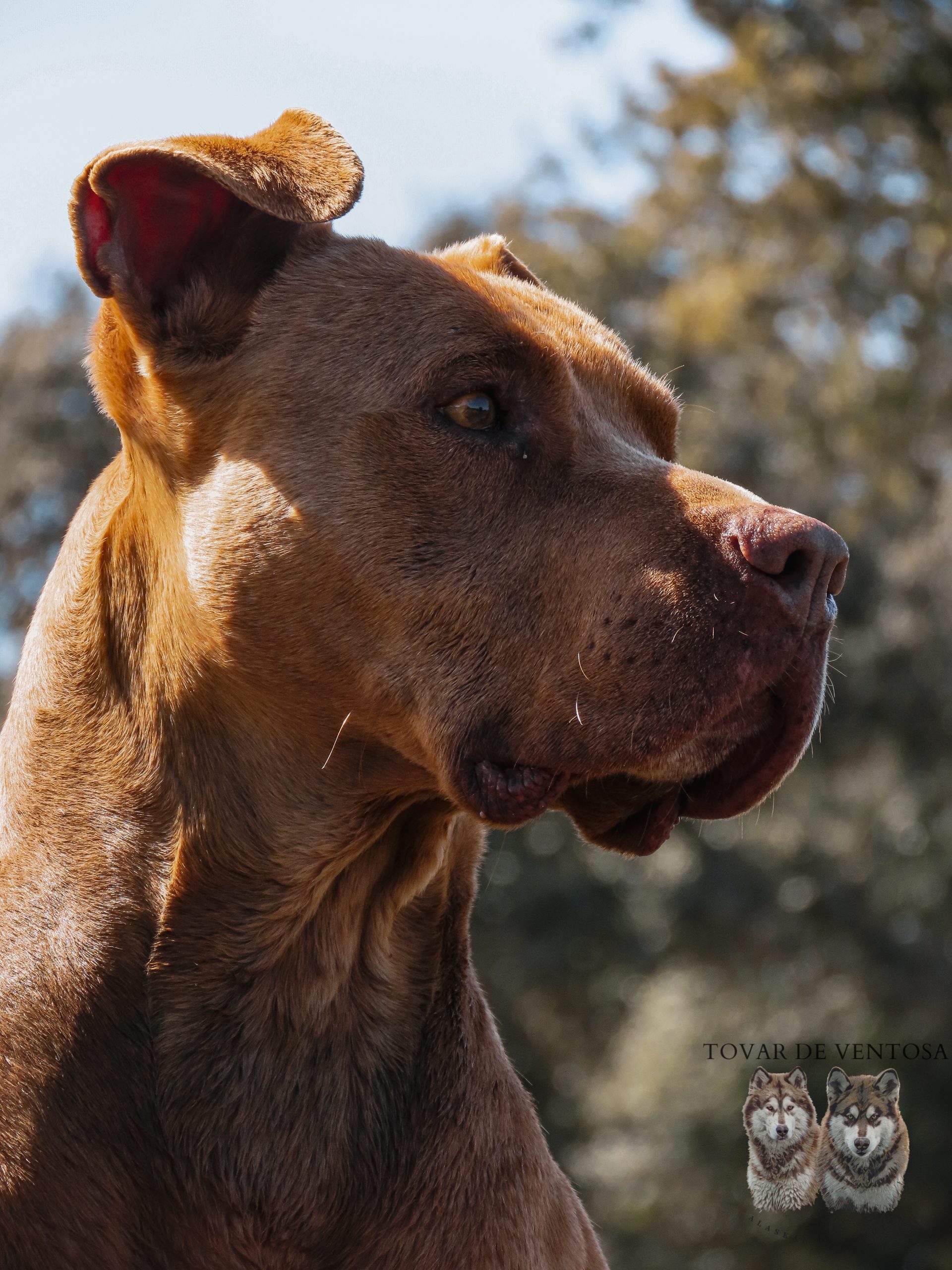 20220313143152_IMG_7276