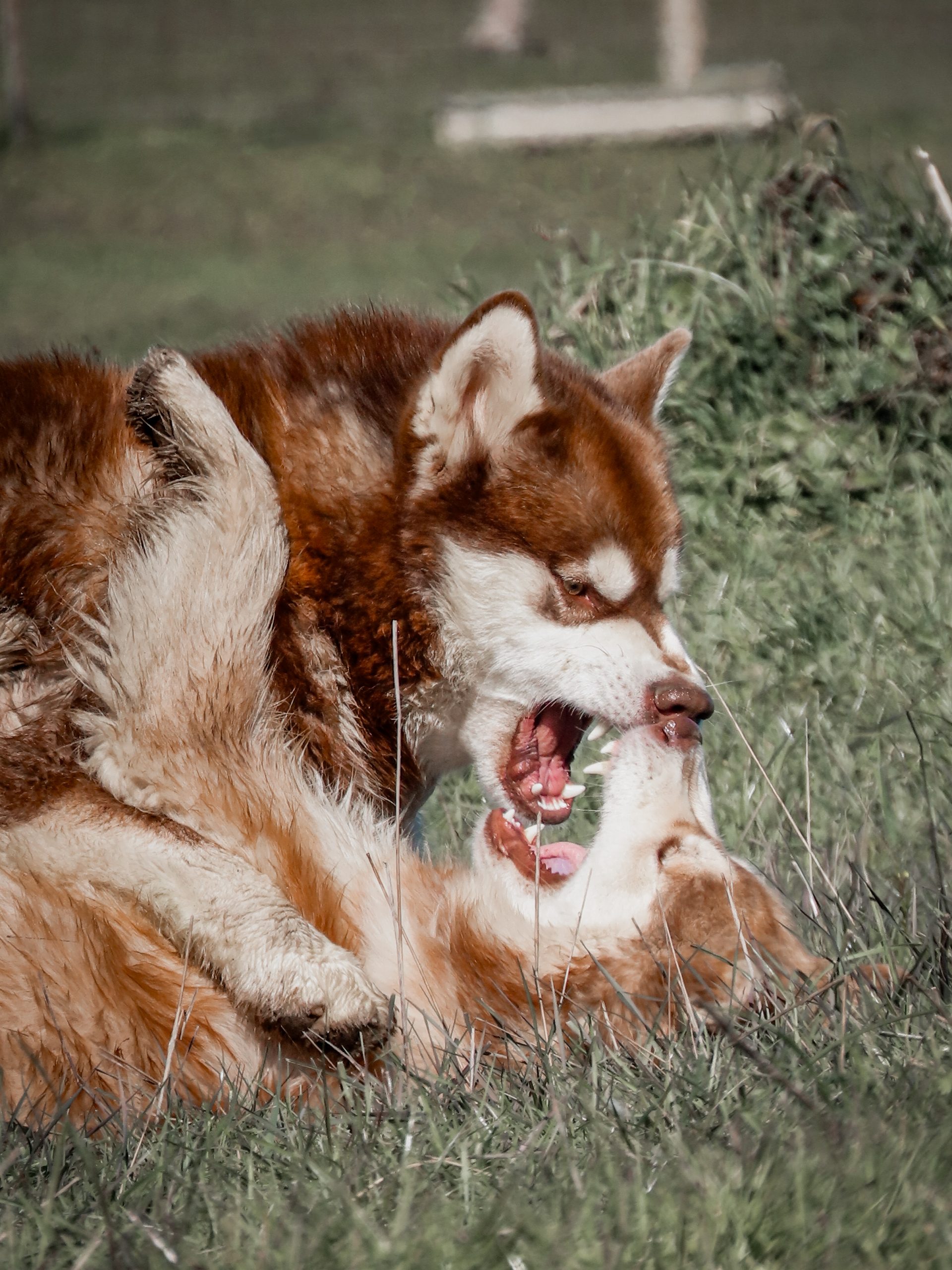 20230129134801_IMG_2726