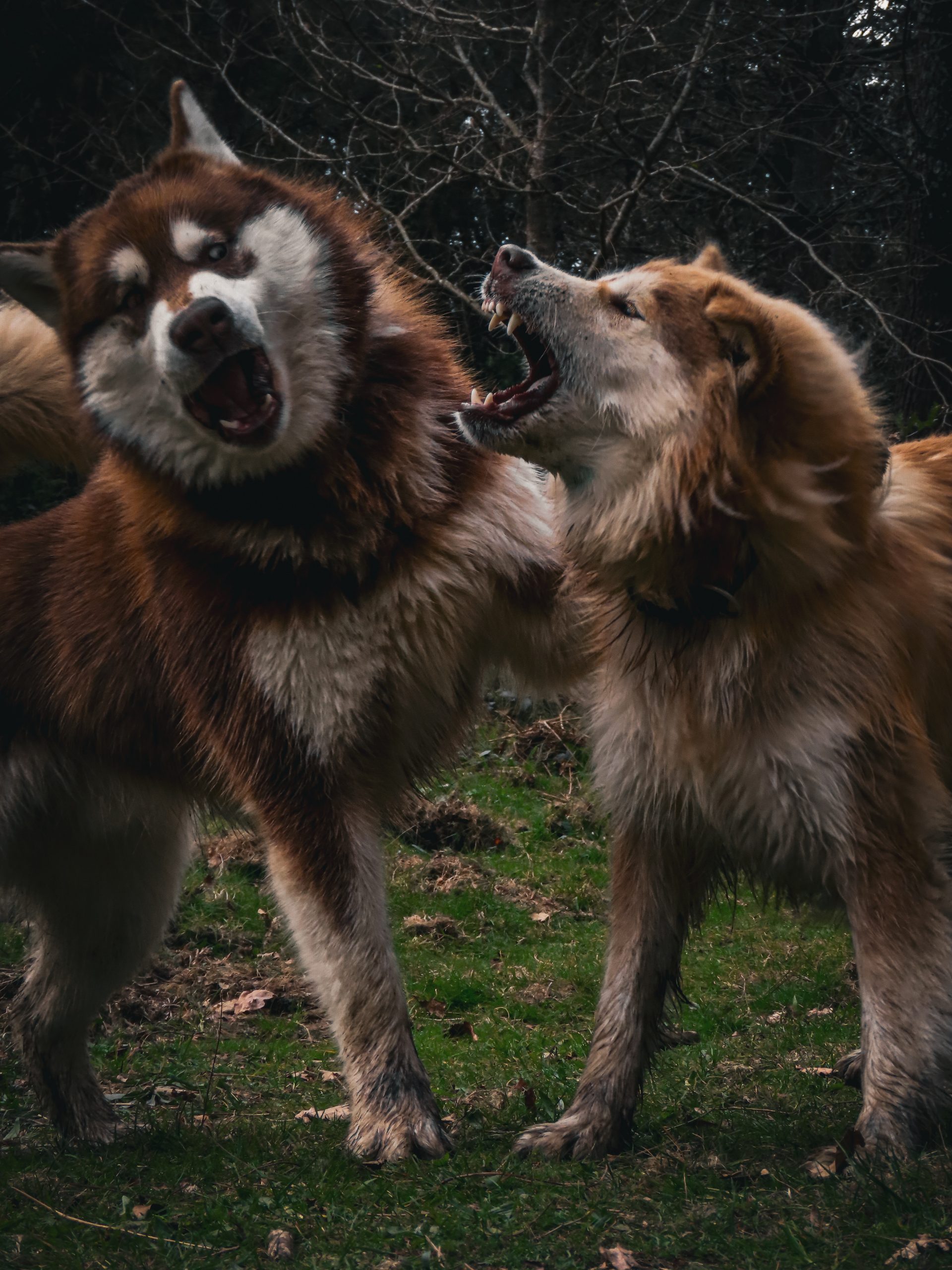 20230219153257_IMG_5974