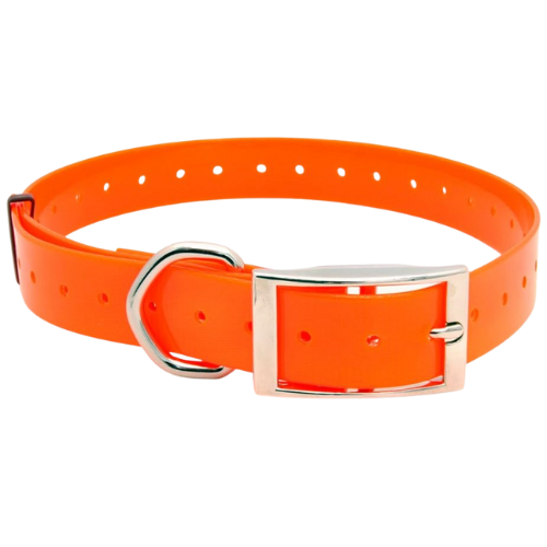 Collar de Poliuretano para Perro – ARCEA