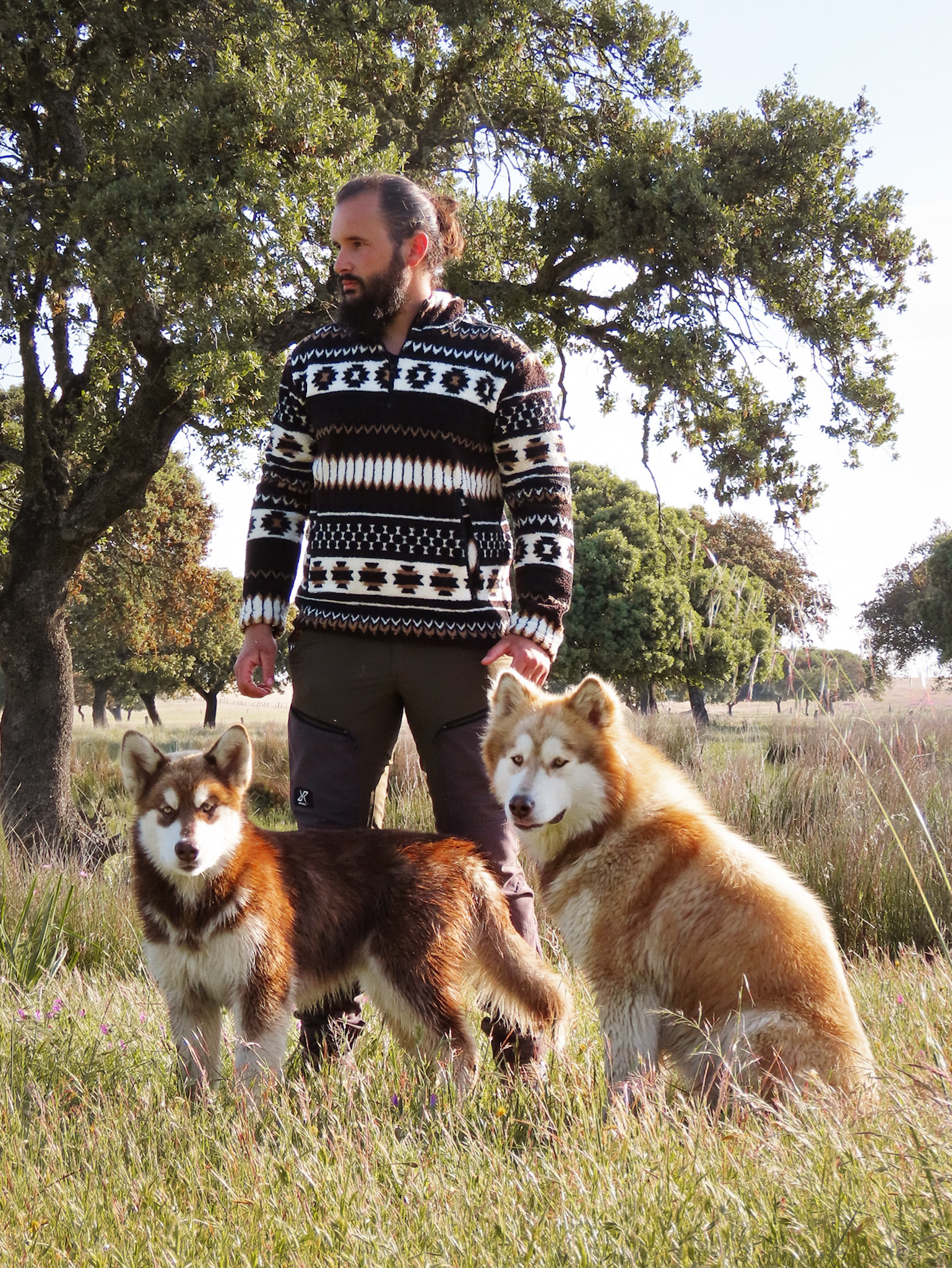 Servicios de educación y modificación de conducta (1)